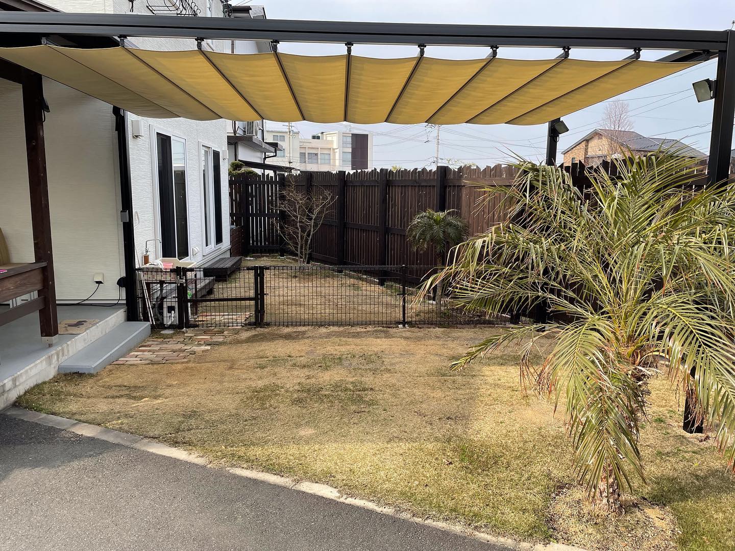 ミニドッグラン ミニドッグラン